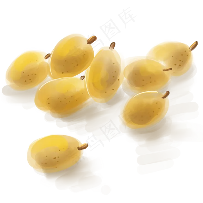 中国风水墨枇杷果