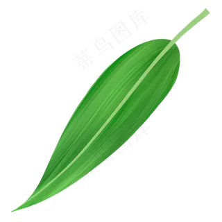端午节清新粽叶