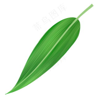 端午节清新粽叶