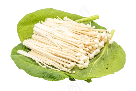 白色金针菇装饰,免抠元素 白色金针菇装饰,免抠元素