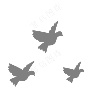灰色的鸽子免抠图