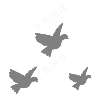 灰色的鸽子免抠图