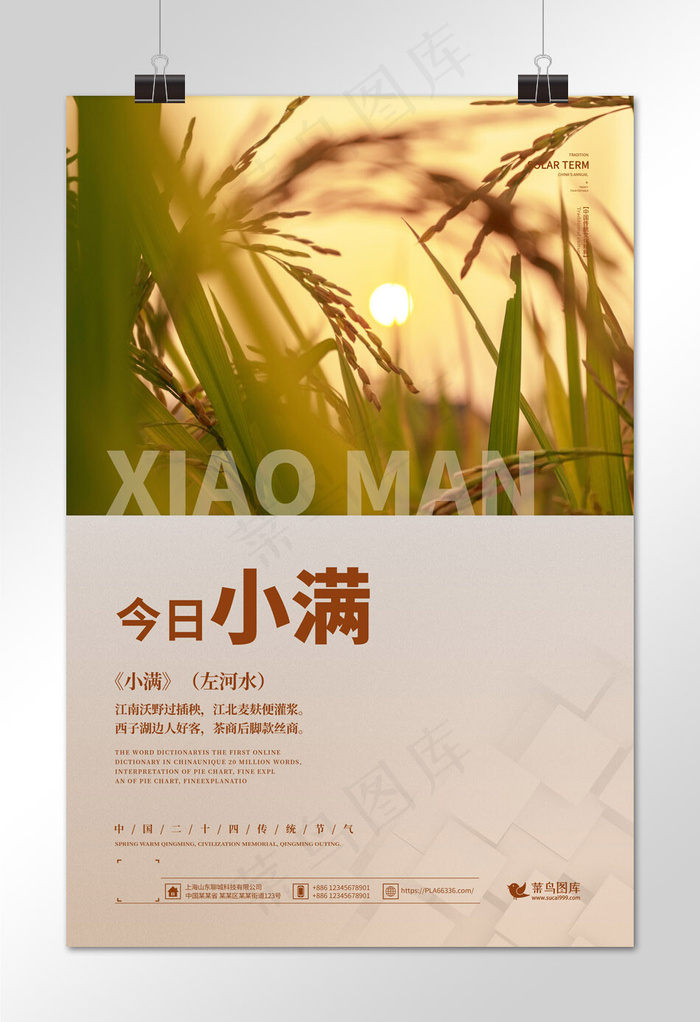 小满稻田黄色剪影海报
