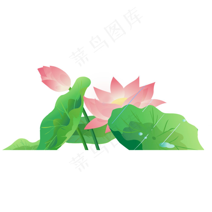 彩色植物荷花元素