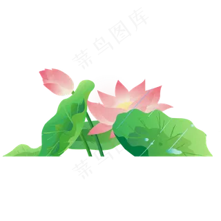 彩色植物荷花元素
