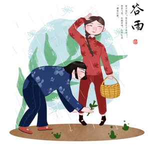 谷雨插秧的小女孩