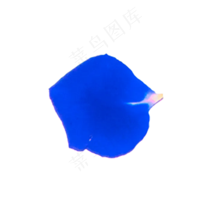 一片蓝色妖姬花瓣实物拍摄免抠(2000X2000(DPI:72))psd模版下载