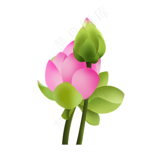 手绘荷花元素可商用