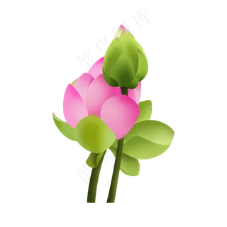 手绘荷花元素可商用