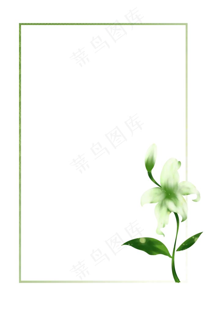 百合花白色花朵手绘边框