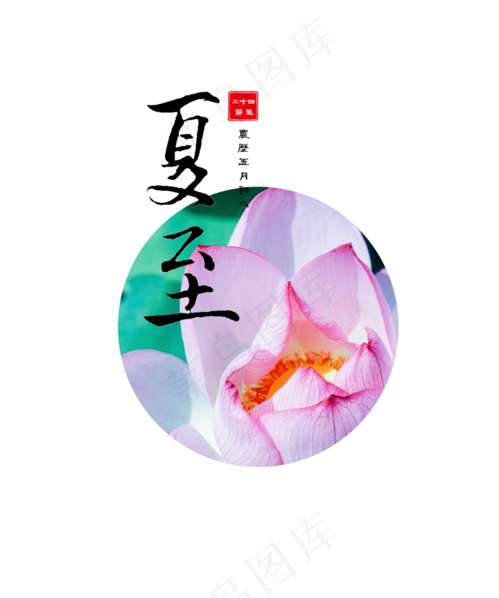 夏至节气荷花(2500X3000(DPI:300))psd模版下载
