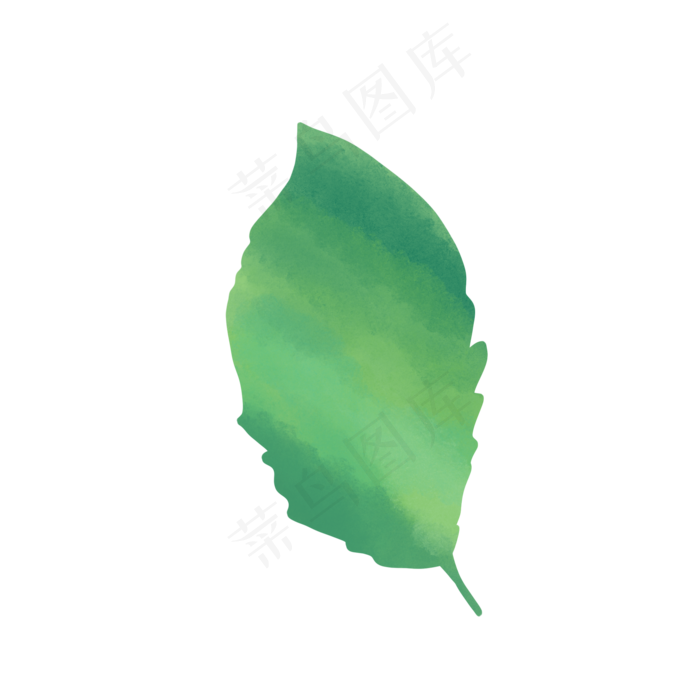 手绘水彩一片叶子