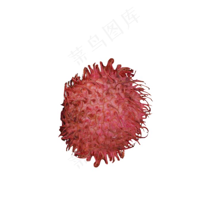 一颗新鲜的毛荔枝