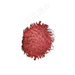 一颗新鲜的毛荔枝