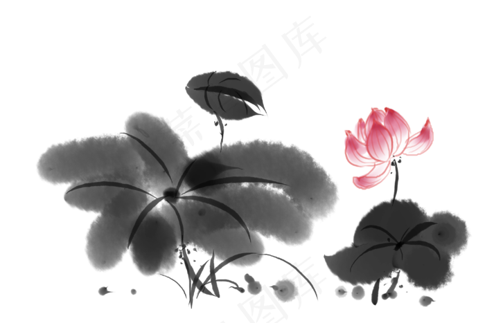 手绘粉红色的荷花插画