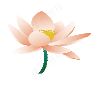 卡通粉色的荷花免扣图