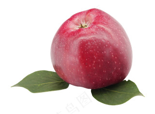 红色水果苹果