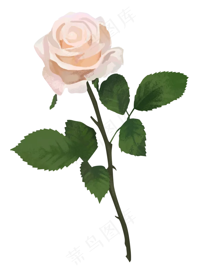 玫瑰花朵免扣png素材(2093X2821(DPI:300))psd模版下载