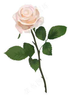 玫瑰花朵免扣png素材 玫瑰花朵免扣png素材