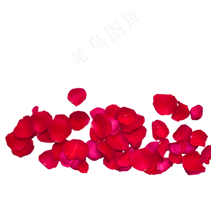 一片红色玫瑰花瓣(2000X2000(DPI:300))