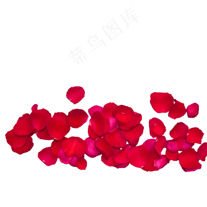一片红色玫瑰花瓣(2000X2000(DPI:300))