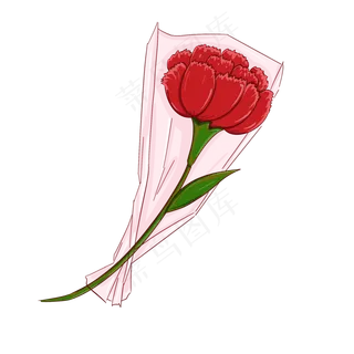 玫瑰艳丽鲜花浪漫优雅