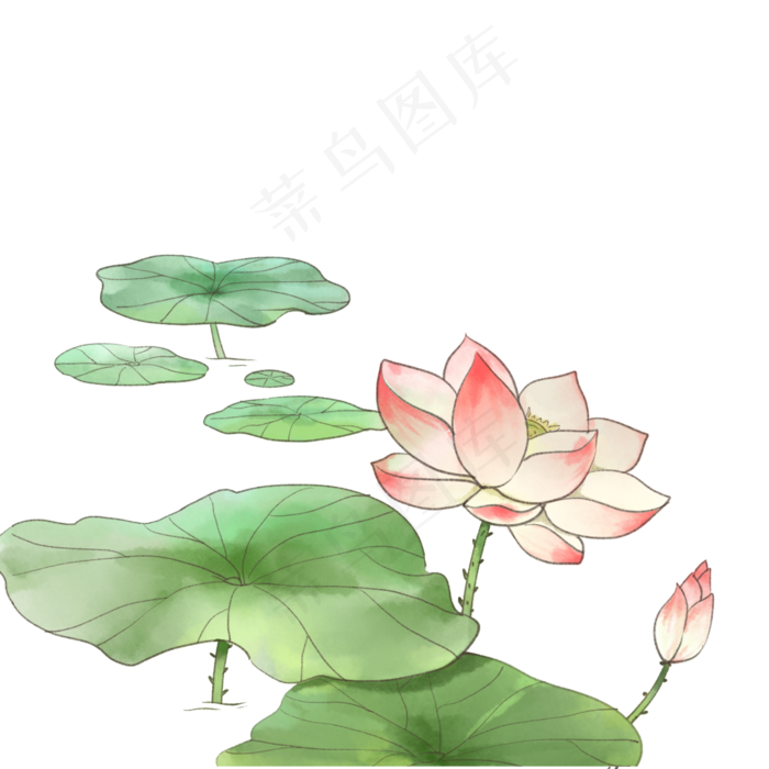 粉色荷花(2000X2000(DPI:300))psd模版下载