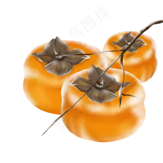 霜降柿子结霜降温秋冬