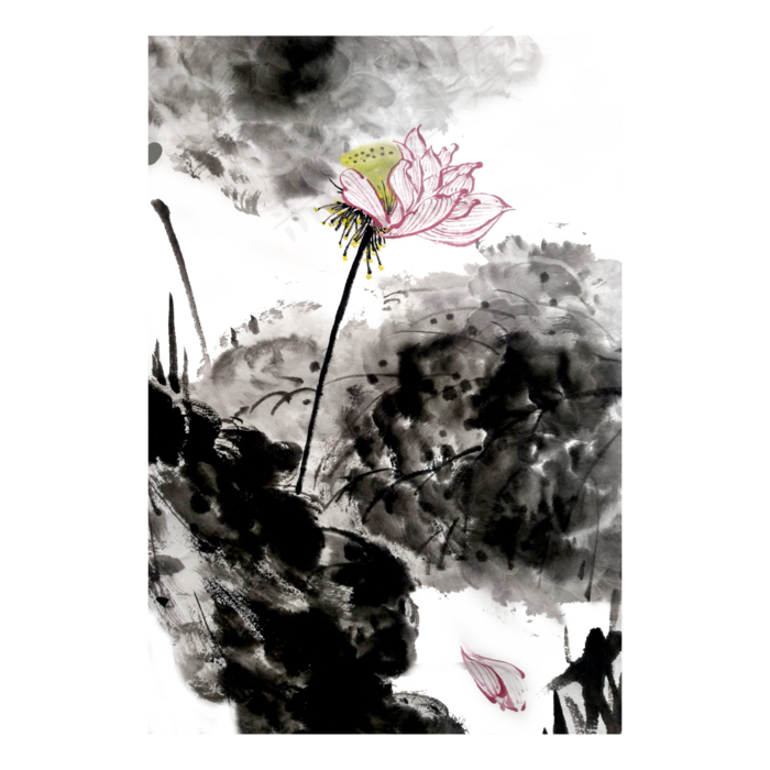 水墨莲花荷花落英PNG荷叶莲