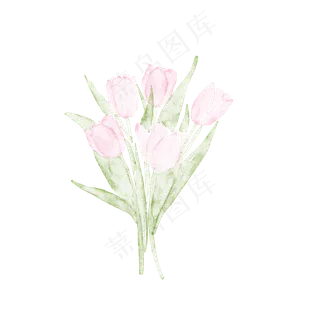 手绘水彩粉色康乃馨花束