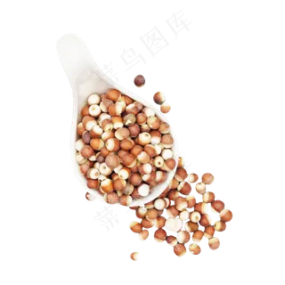 白色勺子芡实,免抠元素