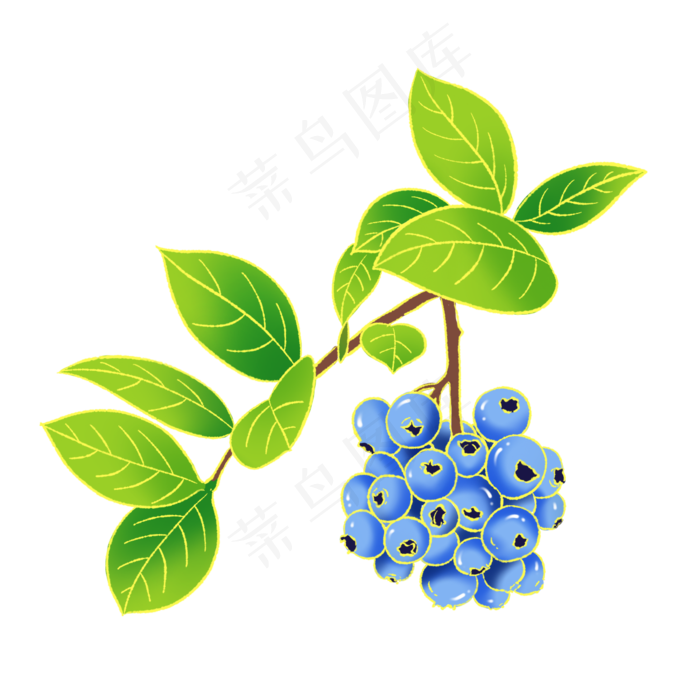 新中式国潮风水果蓝莓(2000X2000(DPI:300))psd模版下载