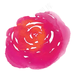 玫红色的玫瑰花朵手绘