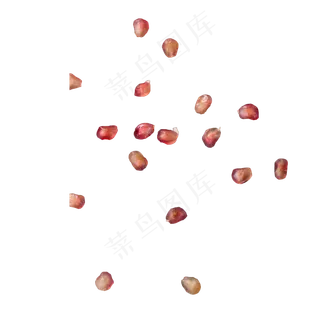 实拍种植石榴果实石榴籽