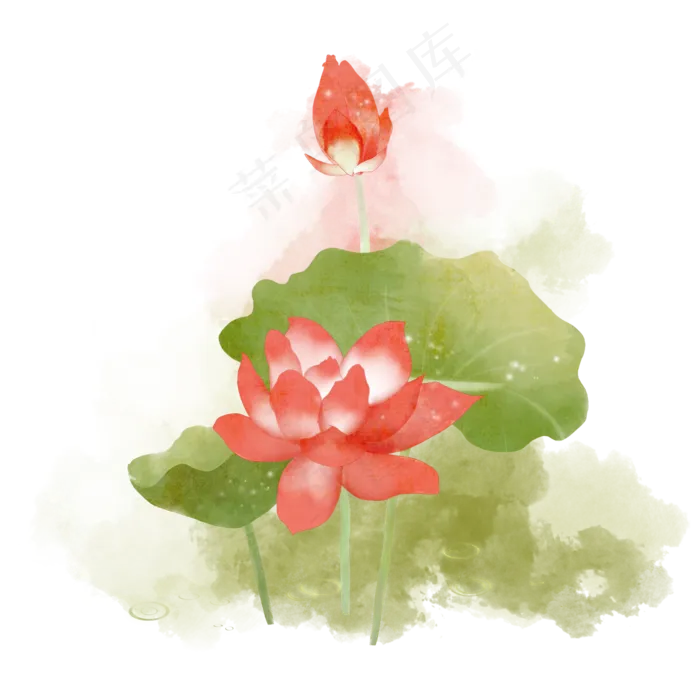 中国风水墨荷花彩绘(2000X2000(DPI:300))psd模版下载