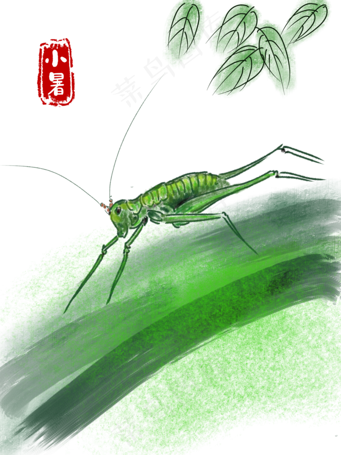 小暑绿叶上的蝈蝈水墨画