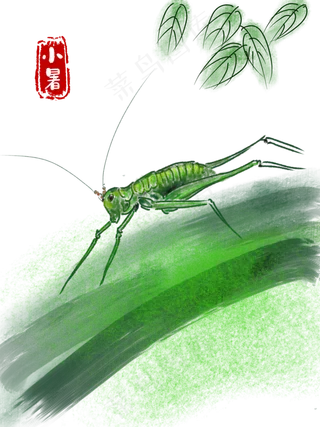 小暑绿叶上的蝈蝈水墨画