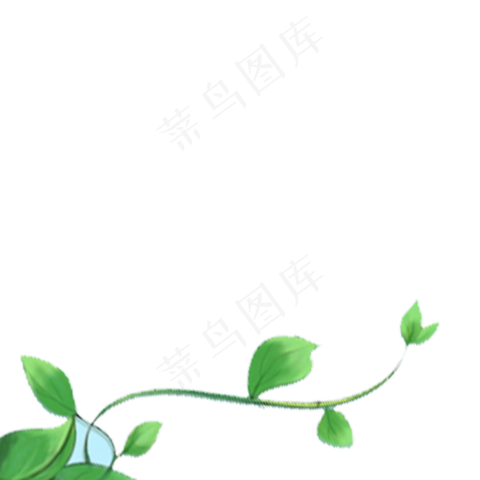 春天植物绿叶