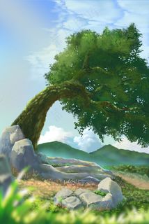 夏日乡村小道写实大树