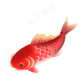 手绘中国传统锦鲤卡通风装饰图,免抠元素