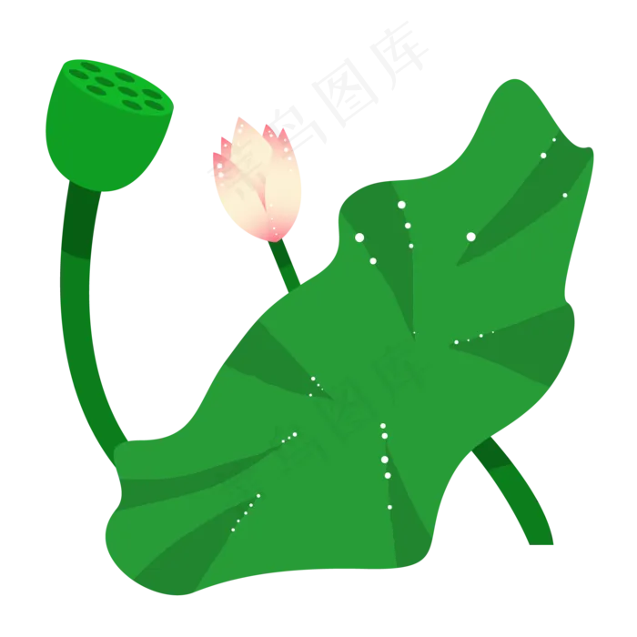 荷花荷叶和莲蓬插图(2000*2000px 300 dpi )ai矢量模版下载