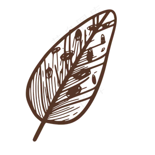 泥巴色复古叶子免抠