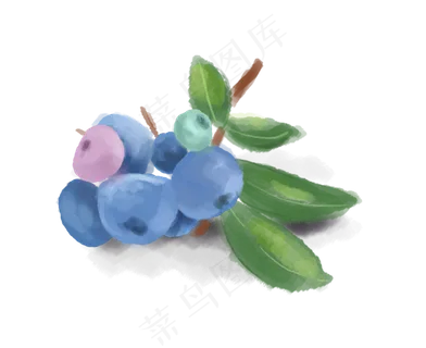 手绘蓝莓素材