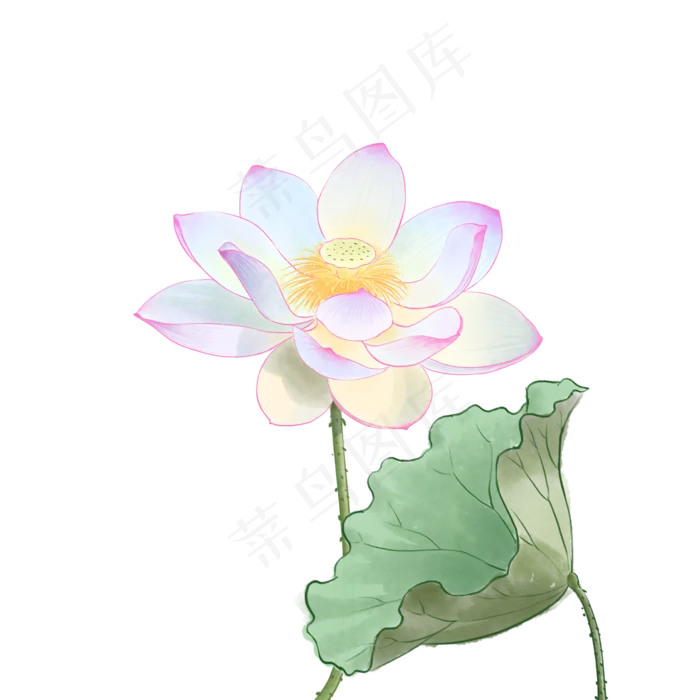 中国风荷花水彩画,免抠元素(2000*2000px 300 dpi )psd模版下载