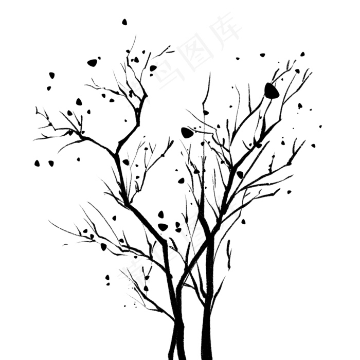 稀少叶子树枝小树