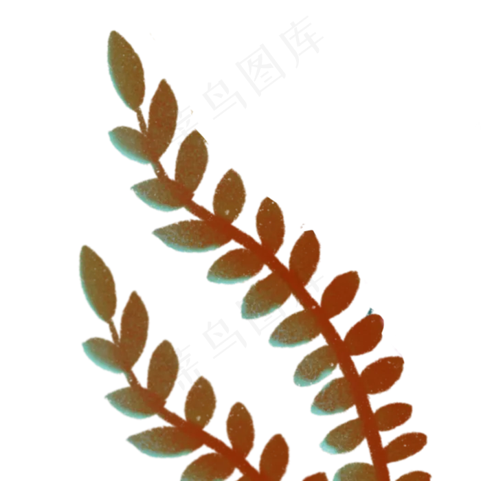 叶子春季自然植物