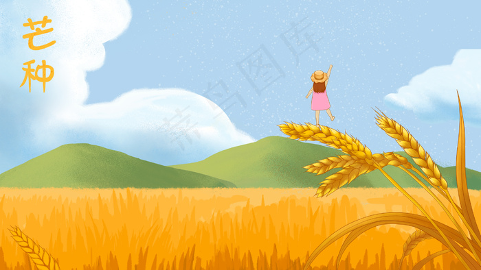 芒种时节小麦田地