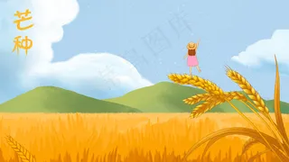 芒种时节小麦田地