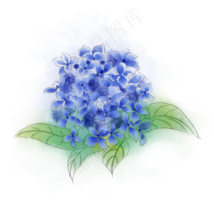 绣球花蓝色梦幻PNG唯美*花(2000X2000(DPI:300))psd模版下载