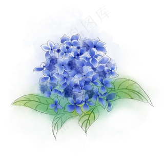 绣球花蓝色梦幻PNG唯美*花
